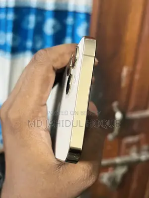 Apple iPhone 12 Pro Max 128 GB Rose Gold