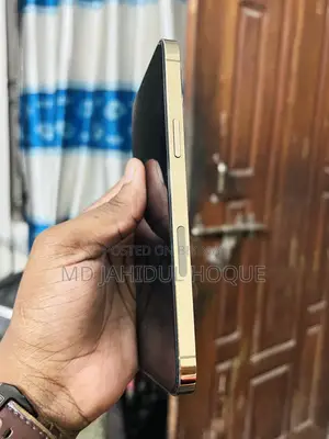 Apple iPhone 12 Pro Max 128 GB Rose Gold
