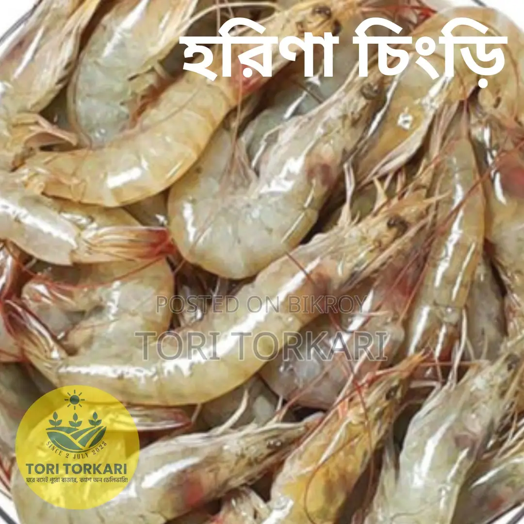 Harina Prawns Fresh Quality