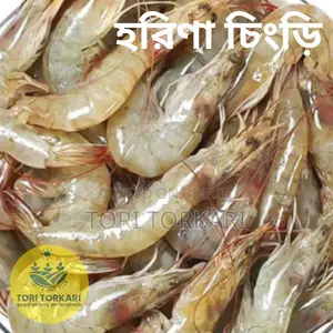 Harina Prawns Fresh Quality
