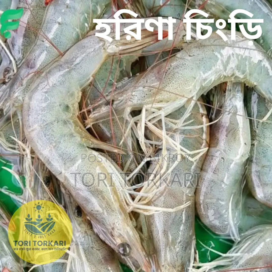 Harina Prawns Fresh Quality