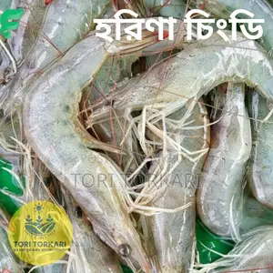 Harina Prawns Fresh Quality
