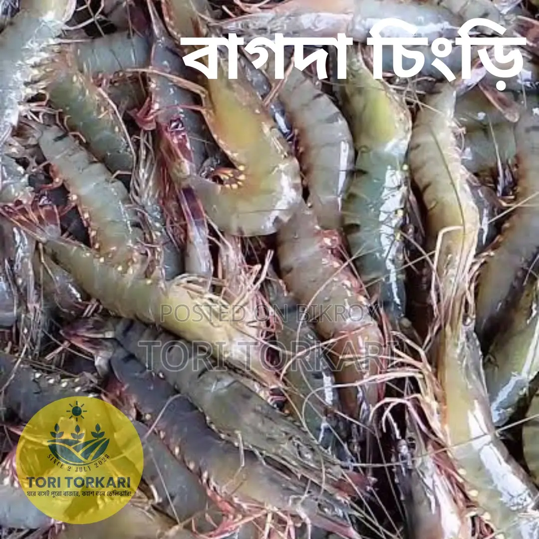 Harina Prawns Fresh Quality