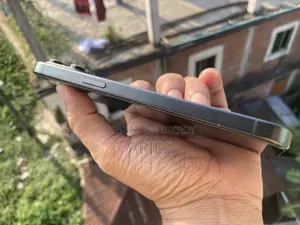 Apple iPhone 15 Pro Max 256 GB Gray