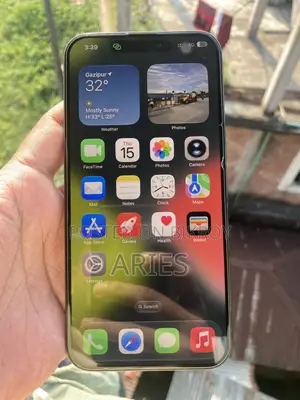 Apple iPhone 15 Pro Max 256 GB Gray