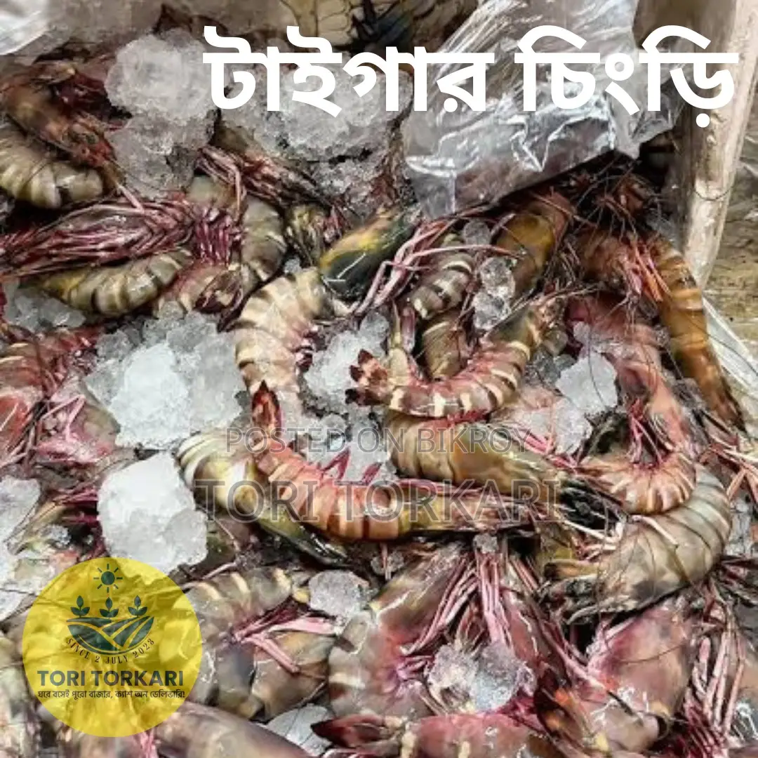 Bagda Shrimp Medium Size