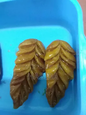 Nokshi Pitha