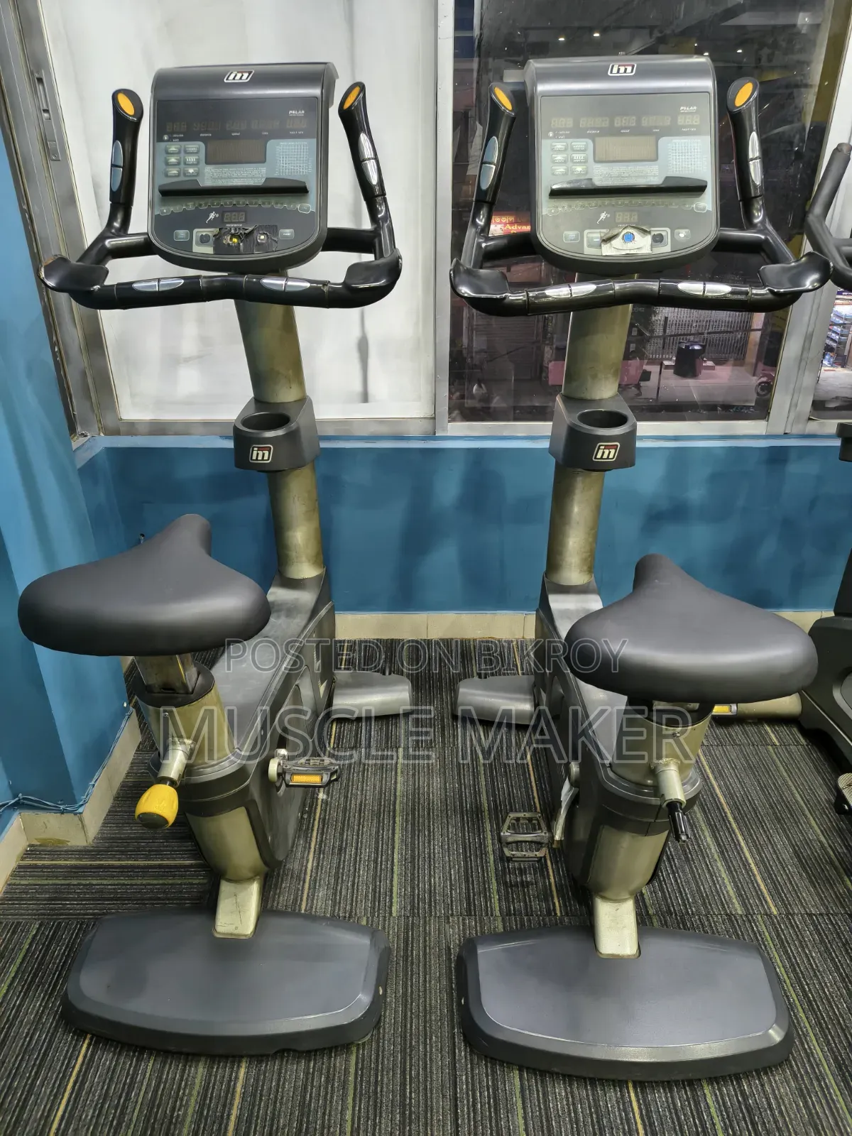 Commercial Gym Cycle (Impulse Brand)