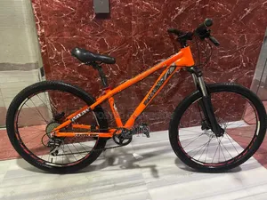 Custom Build Cycle