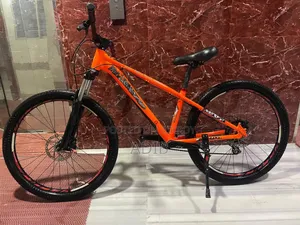 Custom Build Cycle