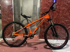Custom Build Cycle