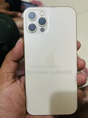 অ্যাপল আইফোন ১২ প্রো ১২৮ জিবি সিলভার