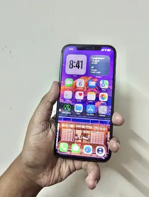 Apple iPhone 12 Pro Max 256 GB Blue