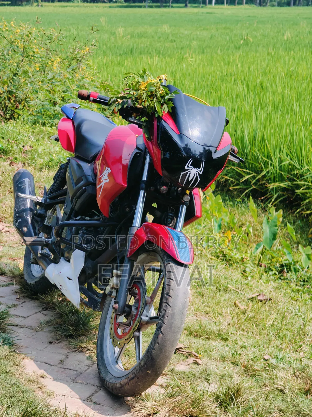 TVS Apache RTR 160 2V 2016 অরেঞ্জ