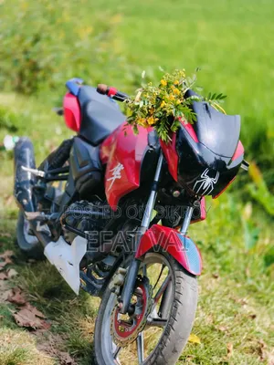 TVS Apache RTR 160 2V 2016 অরেঞ্জ