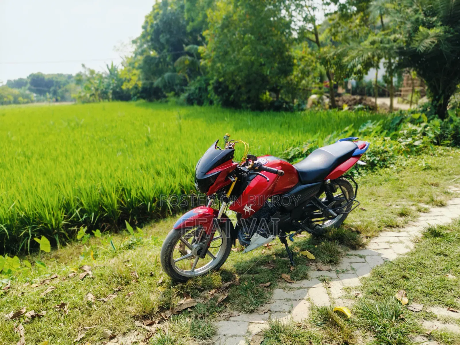 TVS Apache RTR 160 2V 2016 অরেঞ্জ