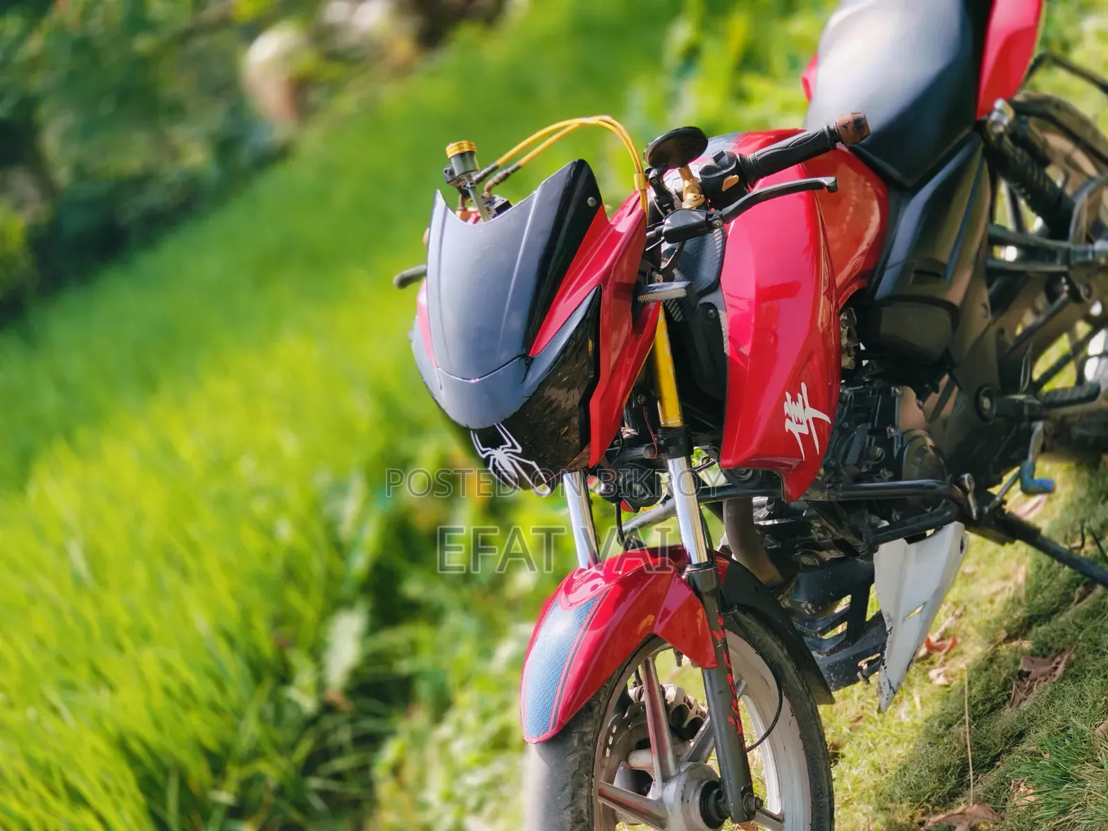 TVS Apache RTR 160 2V 2016 অরেঞ্জ