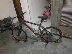 Phoenix Custom Cycle