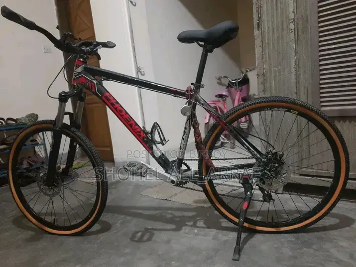 Phoenix Custom Cycle