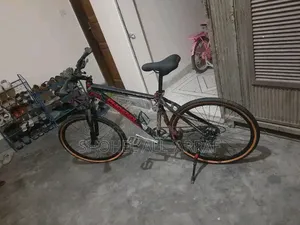 Phoenix Custom Cycle