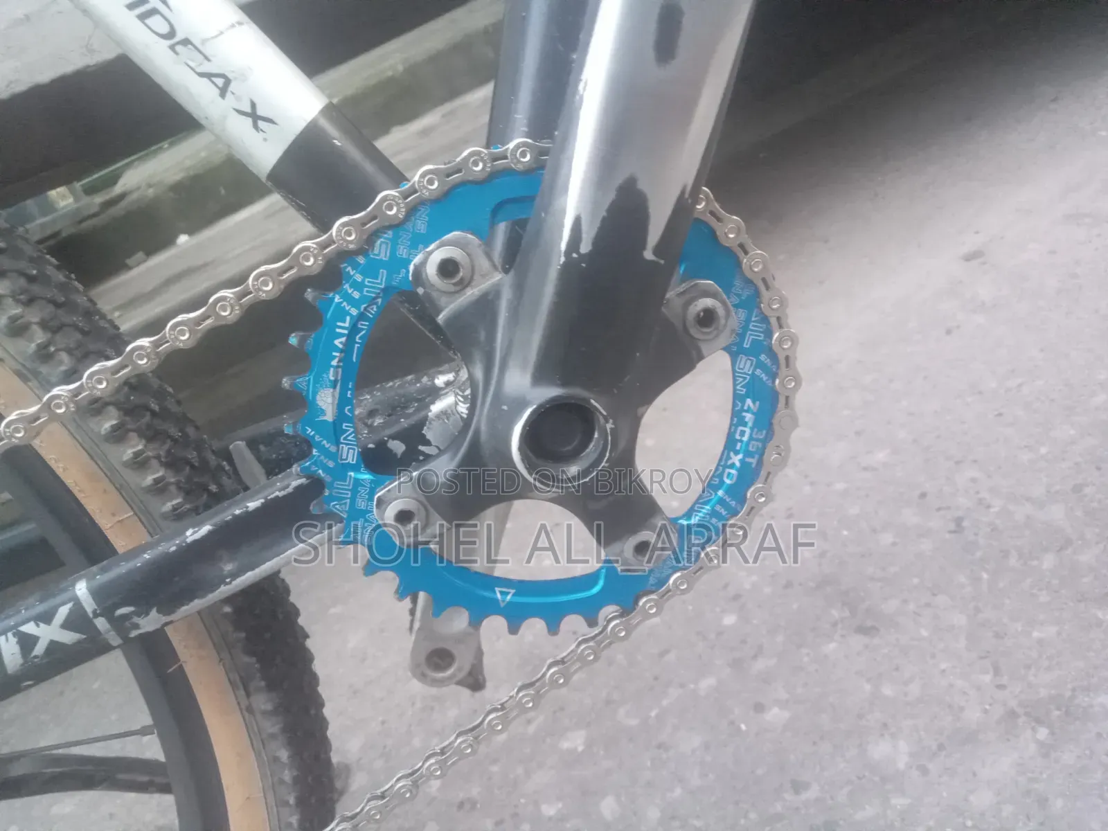 Phoenix Custom Cycle
