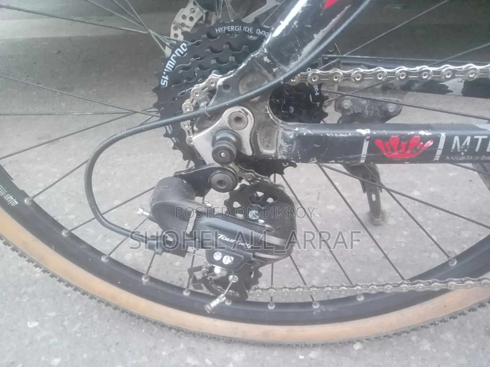 Phoenix Custom Cycle