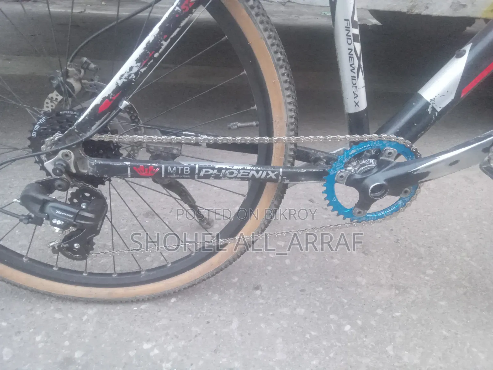 Phoenix Custom Cycle