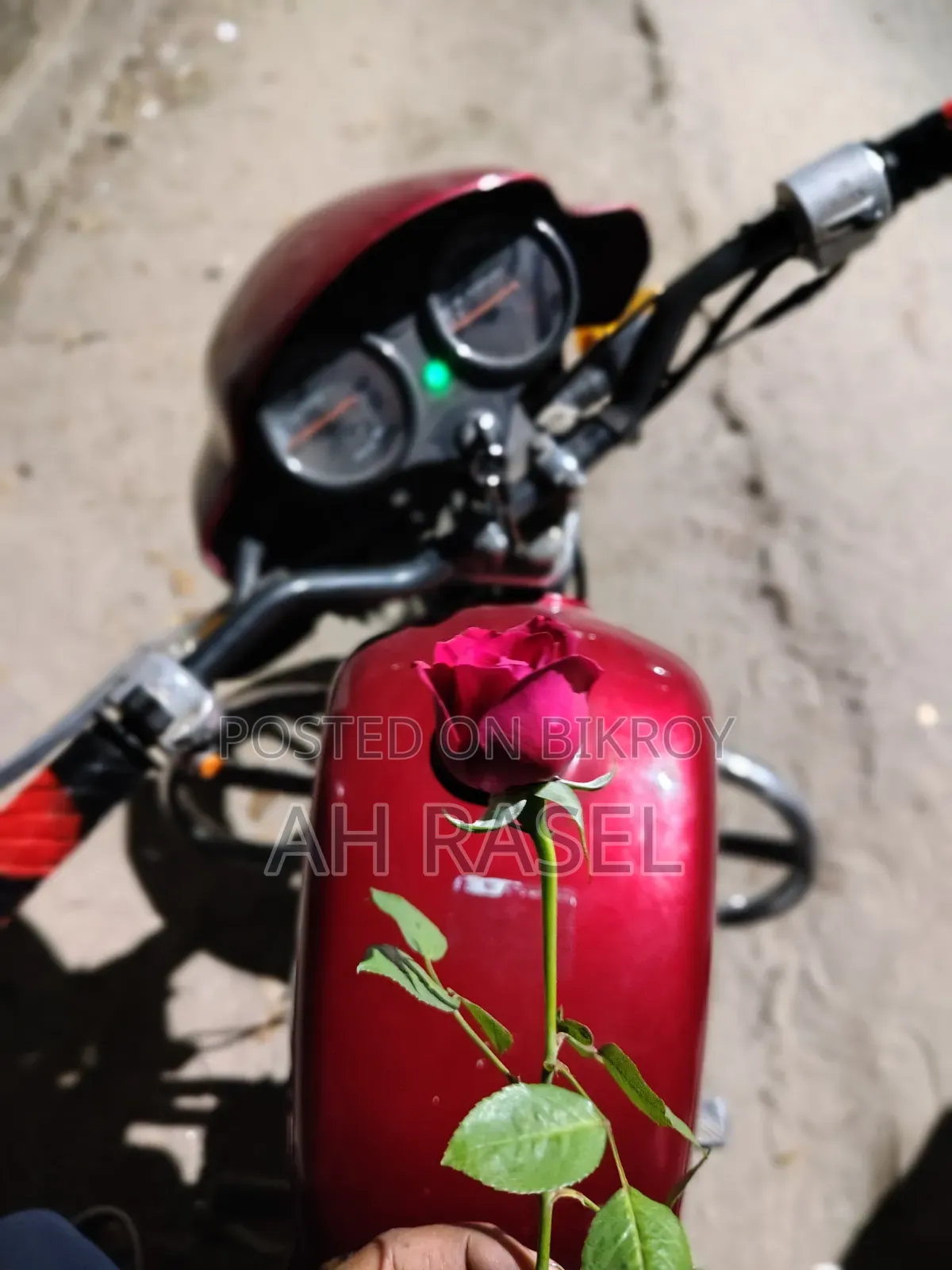Dayang APOLLO 2014 Red