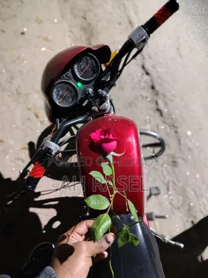 Dayang APOLLO 2014 Red