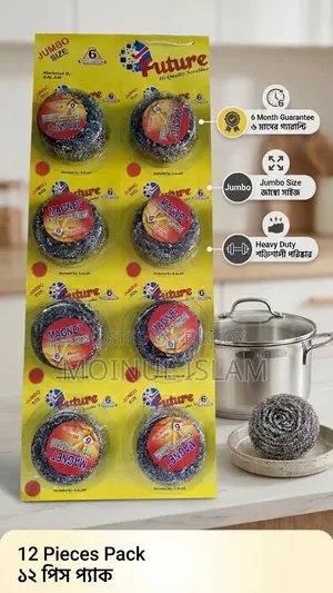 Future Magnet Stainless Steel Scourer (Dishwashing Scourer / Scrub)
