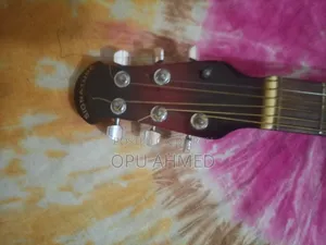 সিগনেচার গিটার ফুল ফ্রেশ