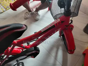 Duranta Avenger Premier 16 Inch Bicycle