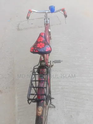 Will sell this bicycle.