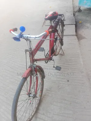 Will sell this bicycle.