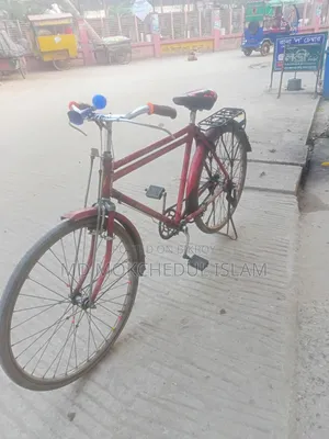 Will sell this bicycle.