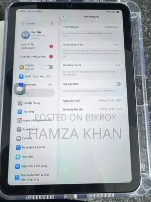 Apple iPad mini 7 256 GB Gray