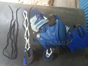 Roller skates. Very smooth. Easy to ride.