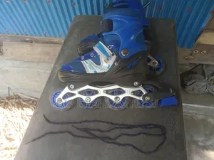 Roller skates. Very smooth. Easy to ride.