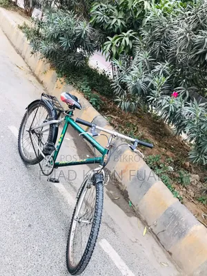 Bicycle for Sale
