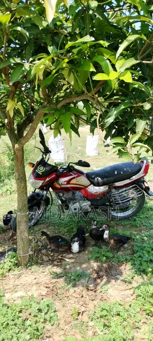 TVS King 2006