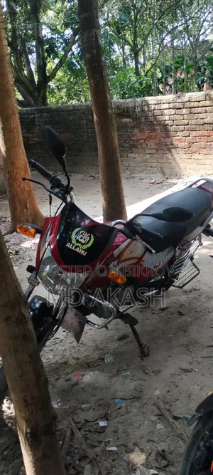 TVS King ২০০৬