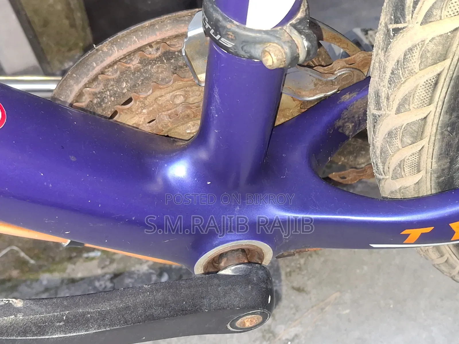 Carbon Fiber Body Cycle
