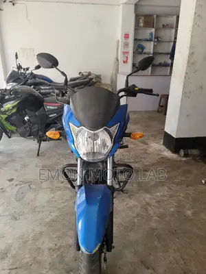 Suzuki Hayate 2020 Blue