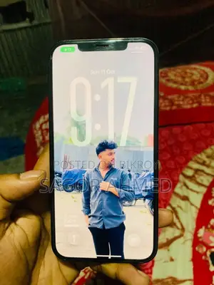 Apple iPhone 12 Pro Max ২৫৬ জিবি নীল