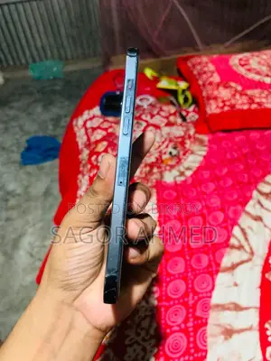 Apple iPhone 12 Pro Max ২৫৬ জিবি নীল