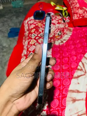 Apple iPhone 12 Pro Max ২৫৬ জিবি নীল