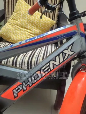 Fully Fresh Condition Bicycle for Sale