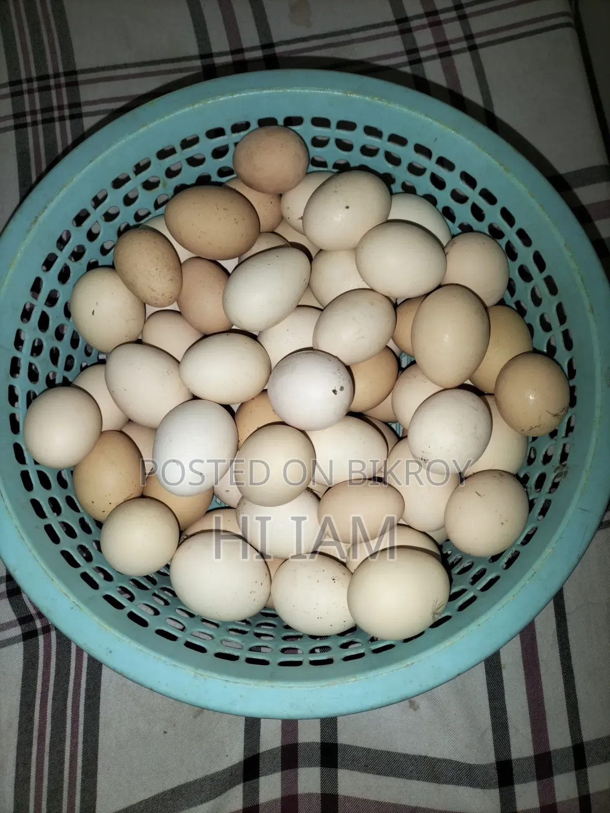 Deshi Chicken Hatching Eggs