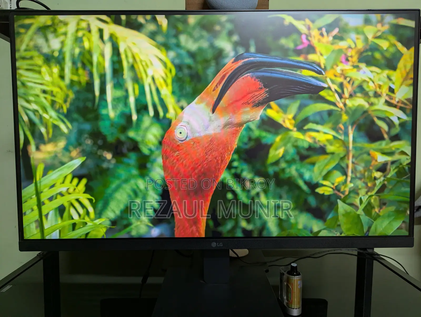 LG Monitor