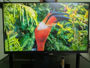 LG Monitor